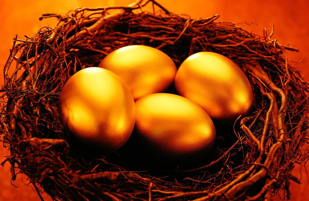 1059_20090219155534_The_financial_crisis_Wallpaper_Gold_Hen_laying_the_golden_eggs_013919_.jpg